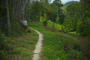 BIB: 
                            <button type="button" onclick="openModal(21744941)" class="btn btn-primary btn-sm float-right btn-popup" data-toggle="modal" data-target=".modal-high-quality">
                        <i class="fas fa-shopping-cart"></i> Add to Cart
                    </button>
                                            <button type="button" onclick="isThisMe(21744941, true)" class="btn btn-success btn-sm float-right btn-popup btn-isme hidden" data-toggle="tooltip" data-placement="bottom" title="นี่คือรูปของคุณใช่ไหม คลิกที่นี่เพื่อเอาเข้าอัลบั้ม">
                        <i class="fas fa-plus"></i> Add to album
                    </button>
                    <button type="button" onclick="isThisMe(21744941, false)" class="btn btn-warning btn-sm float-right btn-popup btn-isnotme hidden">
                        <i class="fas fa-ban"></i> Remove from album
                    </button>